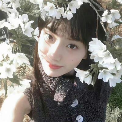 青鸟