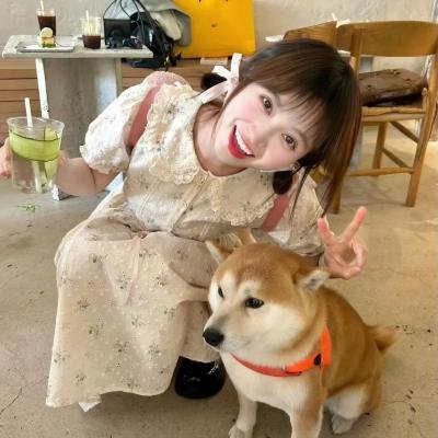 颤抖的真相第二季